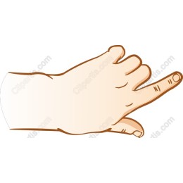 Hand Gesture Peace Sign