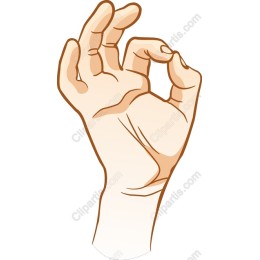 OK Hand Gesture