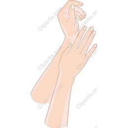 Elegant Hands