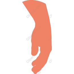 Elegant Peach Hand
