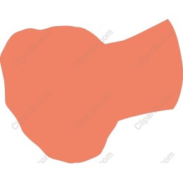 Abstract Coral Shape