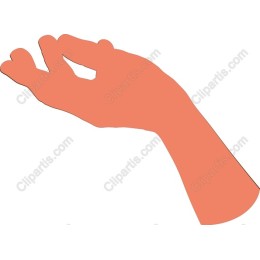 Hand Gesture