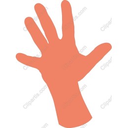 Hand Gesture