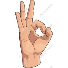 Hand Gesture OK
