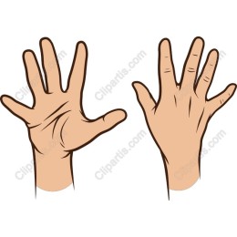 Human Hands