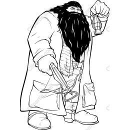 Bearded Adventurer
