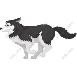 Dynamic Black and White Dog