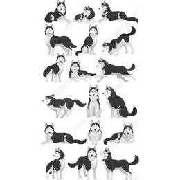 Husky Set - Premium