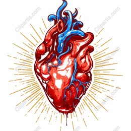Vibrant Heart