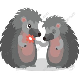 Love Hedgehogs