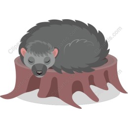 Cozy Sleeping Hedgehog