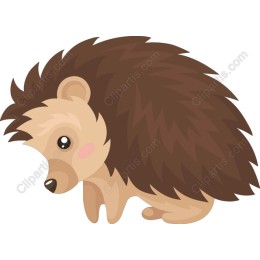 Charming Hedgehog