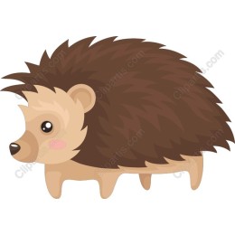 Cute Hedgehog