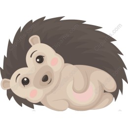 Cute Hedgehog