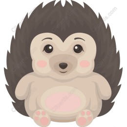 Cute Hedgehog