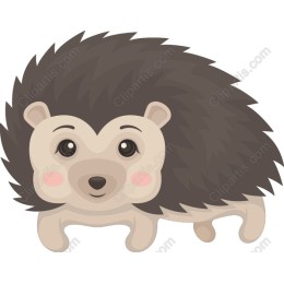 Adorable Hedgehog