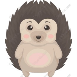 Cute Hedgehog