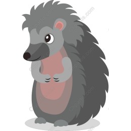 Hedgehog Delight