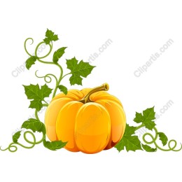 Autumn Delight Pumpkin