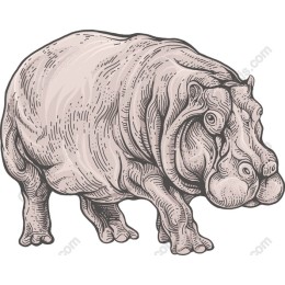 Vintage Hippopotamus
