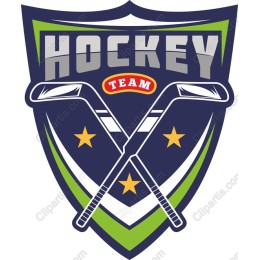 Vibrant Hockey Team