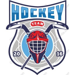 Dynamic Hockey Team
