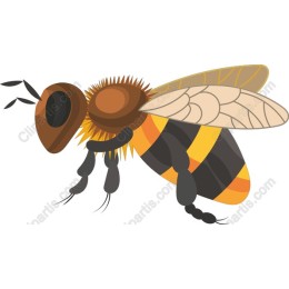 Charming Bee