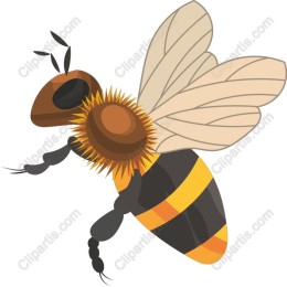Honey Bee