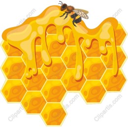 Honeycomb Delight with Dripping Honey and Bee