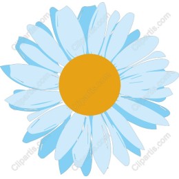 Sunny Blue Daisy