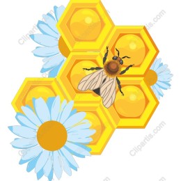 Honeycomb and Bee with Daisies
