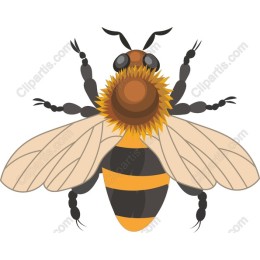 Vibrant Bee
