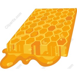 Honeycomb Delight
