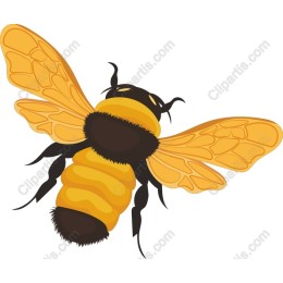 Vibrant Bee