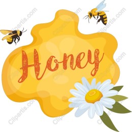 Honey with Bees and Daisy