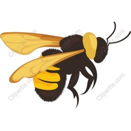 Charming Bee