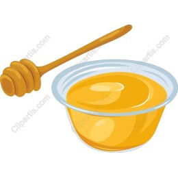 Golden Honey Delight