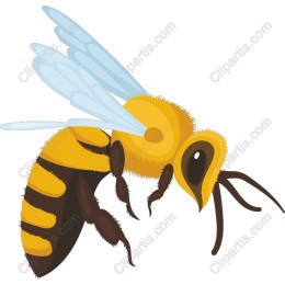 Charming Bee