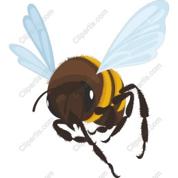Buzzing Bee