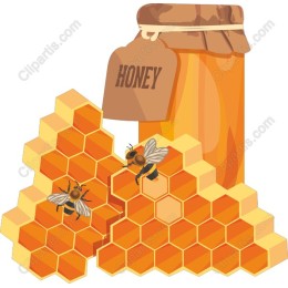 Vibrant Honey