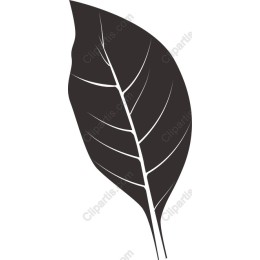 Elegant Black Leaf