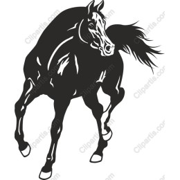 Dynamic Black Stallion