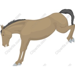 Dynamic Horse Mid-Leap