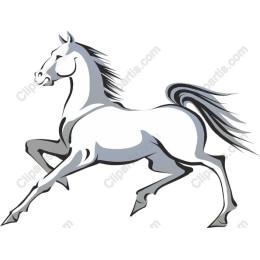 Graceful Gallop - Majestic Horse