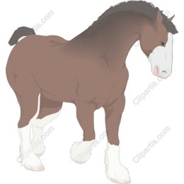 Majestic Clydesdale Horse