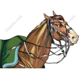 Majestic Horse