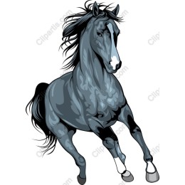 Dynamic Grey Horse