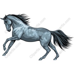 Galloping Gray Horse