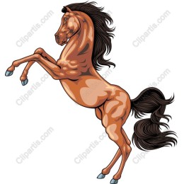 Majestic Rearing Horse