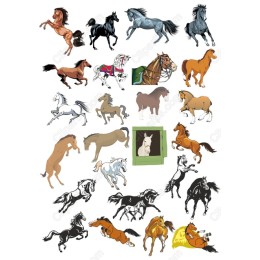 Horse Collection - Premium